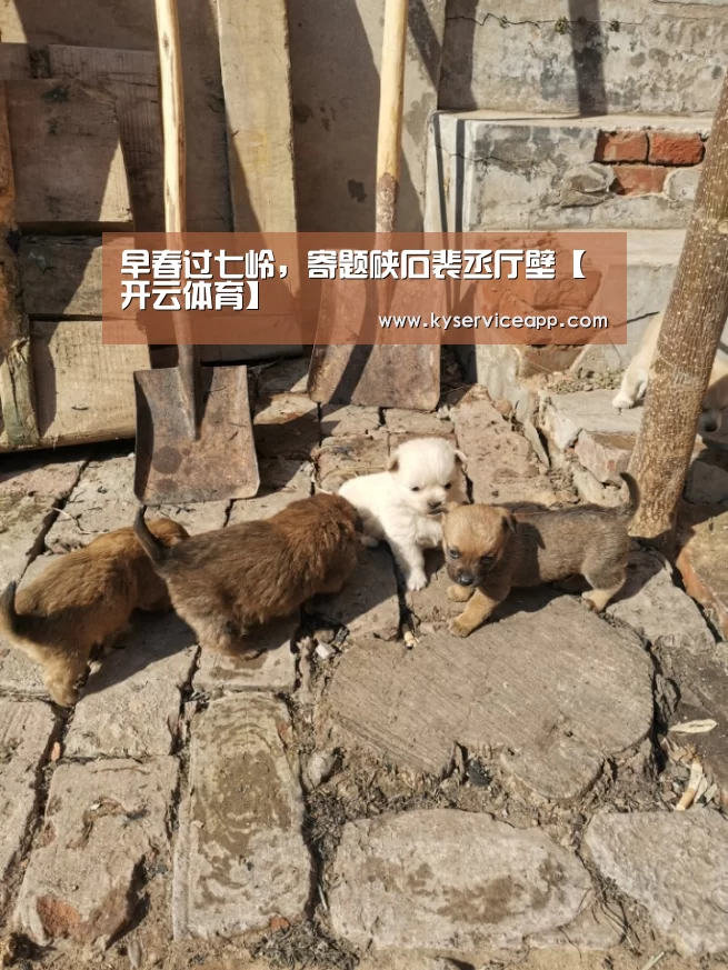 早春过七岭,寄题硖石裴丞厅壁【开云体育】(图3) 开云体育